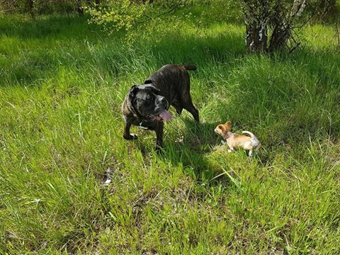 Pozdrowienia od Sary